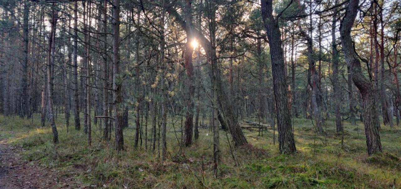 Your Private Hytte Smołdzino Esterno foto